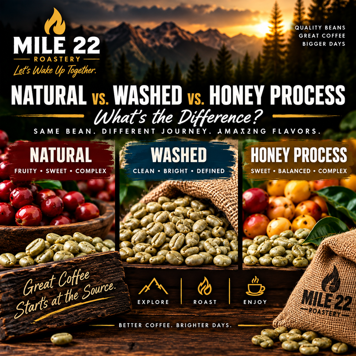 Natural vs. Washed vs. Honey Process: What’s the Difference?