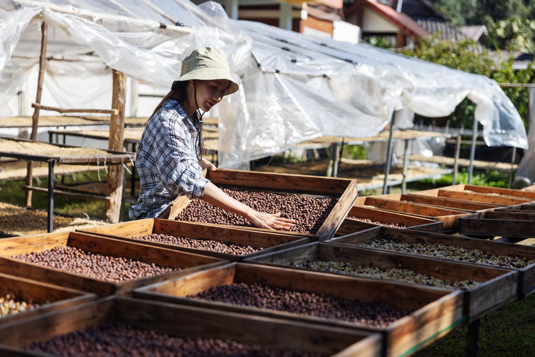 Where It All Begins: From Farm to First Sip