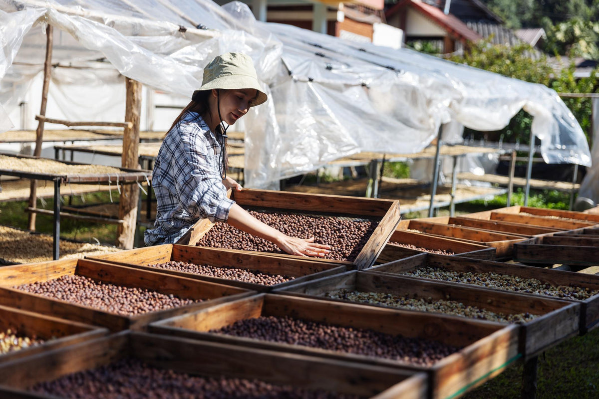 From Farm to First Sip