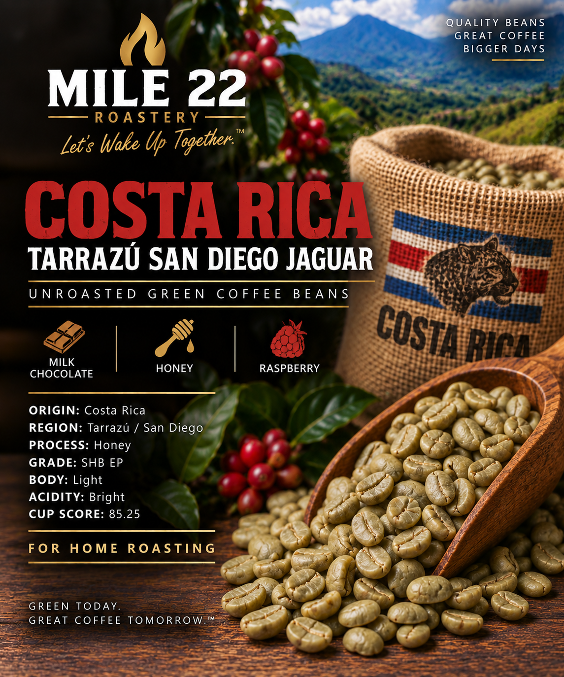 Costa Rica Tarrazú San Diego Jaguar unroasted green coffee beans for home roasting - Mile 22 Roastery